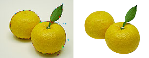 59b559bede0822e99b7532fc437346d7002.png