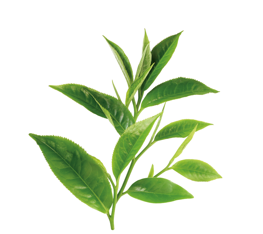 abbaba0fdd190830c67c01d4ea82d0d7002.png