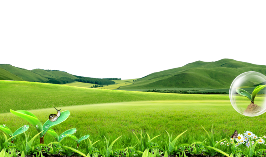 c7d0d0c92a8219950cbf2a7571803a92002.png