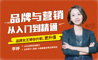 品牌与营销-从入门到精通(录播) 品牌与营销-从入门到精通(录播)