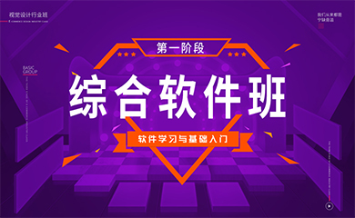 综合软件班(直播+录播) 综合软件班(直播+录播)